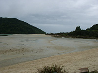 Awaroa Inlet Low tide