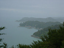 South Head����̌i�F