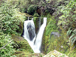 Haffam Streem�̑�