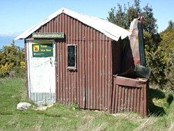 Holyoke Clearing Shelter