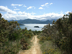 View from Harbour View Track