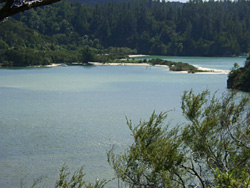 Torrent Bay
