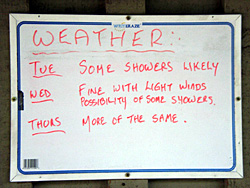 ���V�C�{�[�h